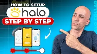 How to Set Up Your Halo Collar 5 in Just 5 Minutes!