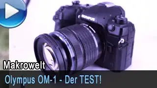 Olympus OM-1 - Demo & Test mit Stacking-Referenz