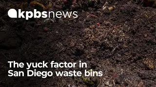 The yuck factor in San Diego waste bins
