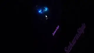 Sakura Style Sound Animations #3 #lights #neon #jdm