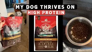 Raw Coated & Clean! High Protein Dog Food for Picky Eaters
