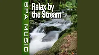Tranquil Stream with Music