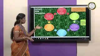Absorption of Carbohydrates - Ms E Jancy Mary