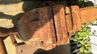 Paramo Large Vice Restoration Quick Release