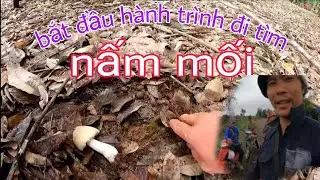 Hành trình săn tìm nấm mối. CHUYẾN NẤM MỐI ĐẦU TIÊN NĂM 2024. @HIỀN PS tìm nấm mối tháng 5!