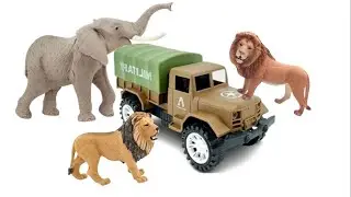 Animal play story | Animal Accident with vehicles  | Animal toy Safari | Avengers Accident story