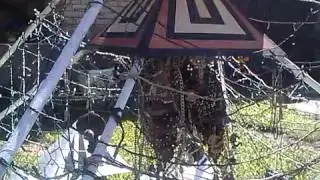 Pyramid House