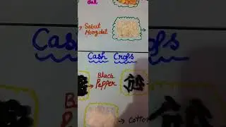 food crops & cash crops activity