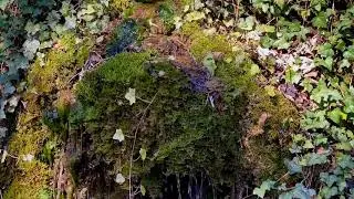 Linner Wasserfall