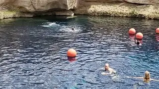 Blue Hole Jump | Santa Rosa NM
