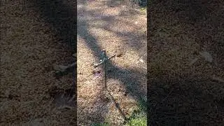 If Satan would have known would he have tried to put Jesus on the cross
