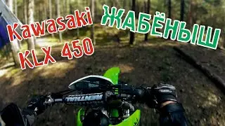 Kawasaki KLX450. Экспресс-тест. Жабёныш.