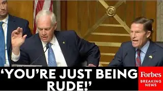 Ron Johnson Confronts Witnesses, Squares Off With Dems During Congressional Hearings | 2025 Rewind