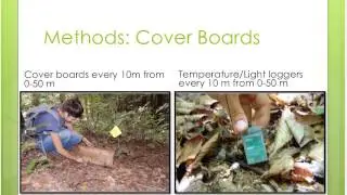 Intern 2013 marcellus shale and herps