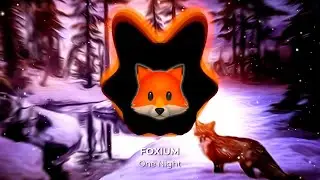 FOXIUM - One Night [PsyTrance-Hybrid]