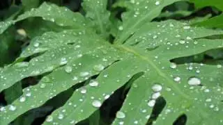 Blackwatch and Greed - Gentle Rain (Blackwatch Jacked Hi Mix)