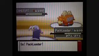 Pokemon Platinum Wi-Fi Battle #7: vs WildWind