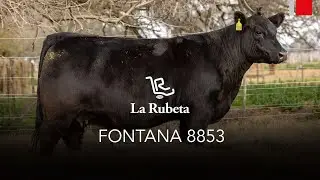 La Rubeta, RP 8853