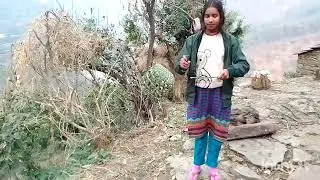 आज निकाला मैने बिच्छु घास