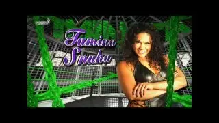 WWE Elimination Chamber 2012 Predictions