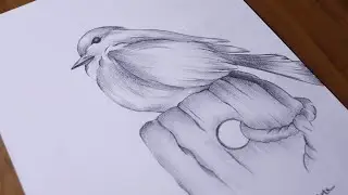 Bird sitting on chopped tree pencil sketch/ rohit ratan arts 