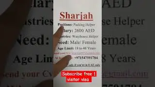 packing helper sharjah dubai #shortsfeed #duabijobs #dubaicareers