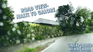 Road View - Nalti to Galore (Hamirpur, H.P)#travel #nature #pahadi #hamirpur #beautifulnature