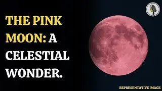 April 12, 2025 Pink Moon: Viewing Tips and Facts | WION Podcast