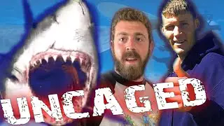 UNCAGED SHARK DIVING | One Ocean Diving