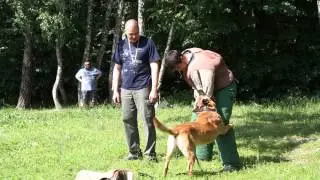 Bolshoy (Russian) ring, mh Gangster,training exercise.Finish,Ганс, рабочие моменты