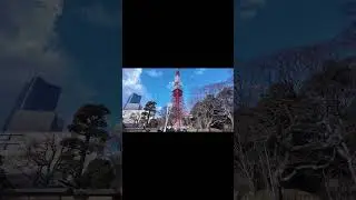 This Tiny Camera Will Change Your Travel Videos Forever! #DJIPocket3 #TravelPOV