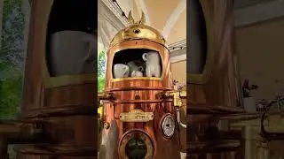 #shortsvideo#shortvideo#cute#coffee#show#shorts#short#shortyoutubevideo#shortyoutube#coffeelover