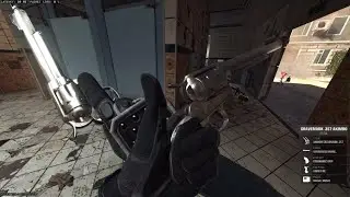 Gravemark .357 Akimbo