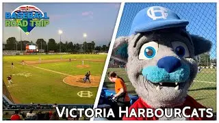 Victoria HarbourCats: Northwest Baseball Game 7