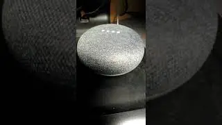 Google Home Mini has comedy preferences! #Shorts