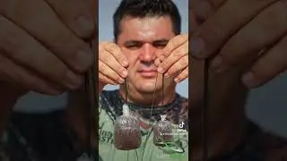 12 septembrie 2023