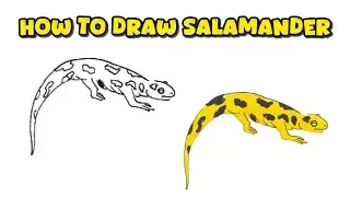 How to Draw a Yellow Salamander &ndash; Step-by-Step Animal Drawing