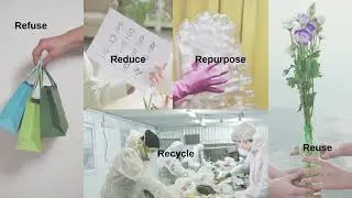 5 R's of Waste Management