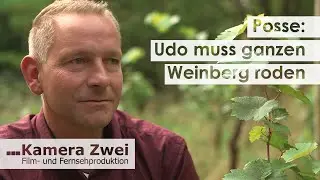 Beh&ouml;rden-Irrsinn: Udo muss ganzen Weinberg roden | Kamera Zwei