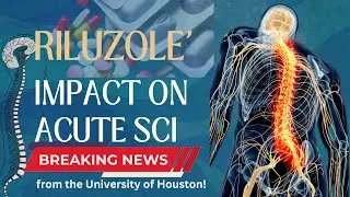 Riluzole: A New Hope for Acute Spinal Cord Injury Patients | The Physio Specialist