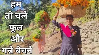 जल्दी आओ भईया फूल और गन्ने खरीदने#almora #trvelling #uttarakhand #viral