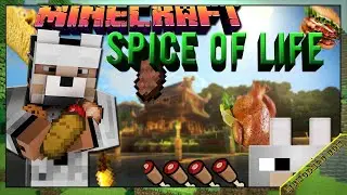Spice of Life: Potato Edition Mod 1.16.5/1.16.4 & How To Download and Install for Minecraft