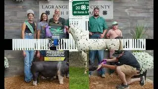 2024 Livestock Champions