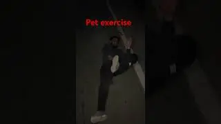 Pet exercise  #youtubeshorts #fitnessjourney #fatlossworkout #fatloss #workoutjourney #youtube