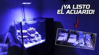 ¿¡Ya esta LISTO EL ACUARIO MARINO para meter PECES y CORALES!? | AcuariosLP