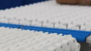 SpanTech Gravity Roller Transfers Provide Smooth, Reliable Product Transitions | www.ProPac.com