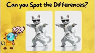 [Spot The Difference] Kung Fu Fighting Pets! #spotthedifference #puzzle #cats