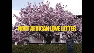 SWEETBOYBLONDEY - Norf African Love Letter (Official Video) [prod. Ngbeats]