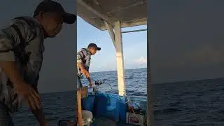 Fishing trip big fish 