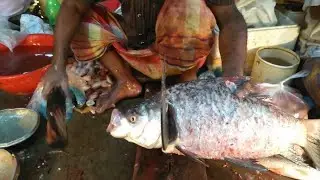 Amazing Big catla fish cutting skill live in Bangladeshi fishe market